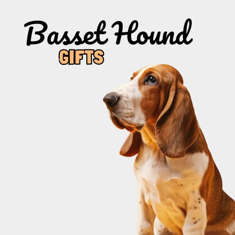 Basset Hound Gifts - Dog Gifts Store