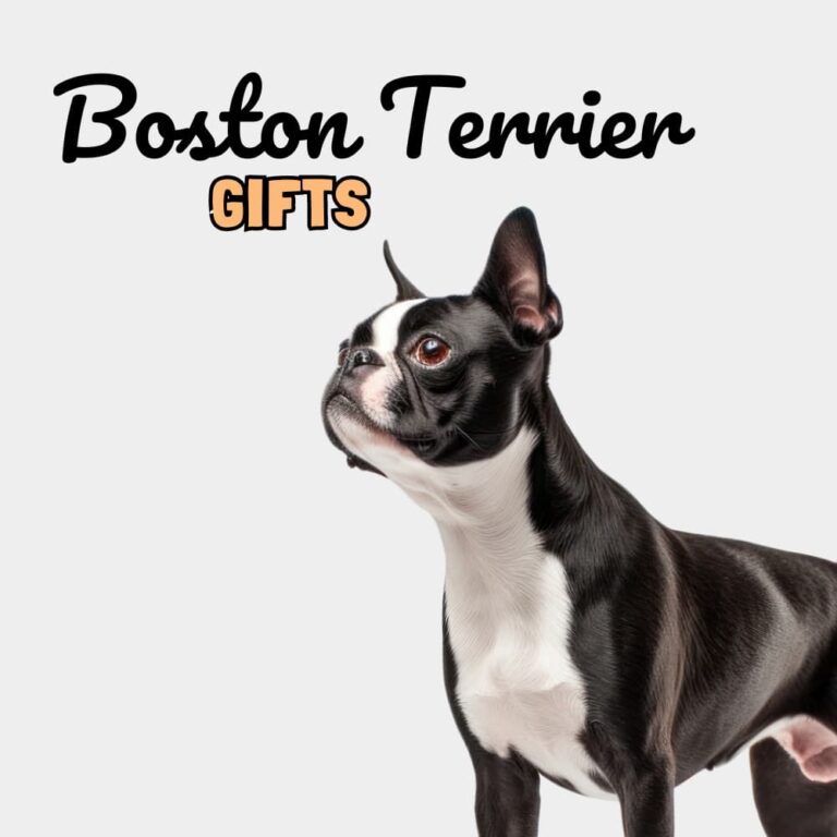 Boston Terrier Gifts - Dog Gifts Store