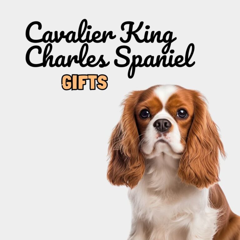 Cavalier King Charles Spaniel Gifts - Dog Gifts Store