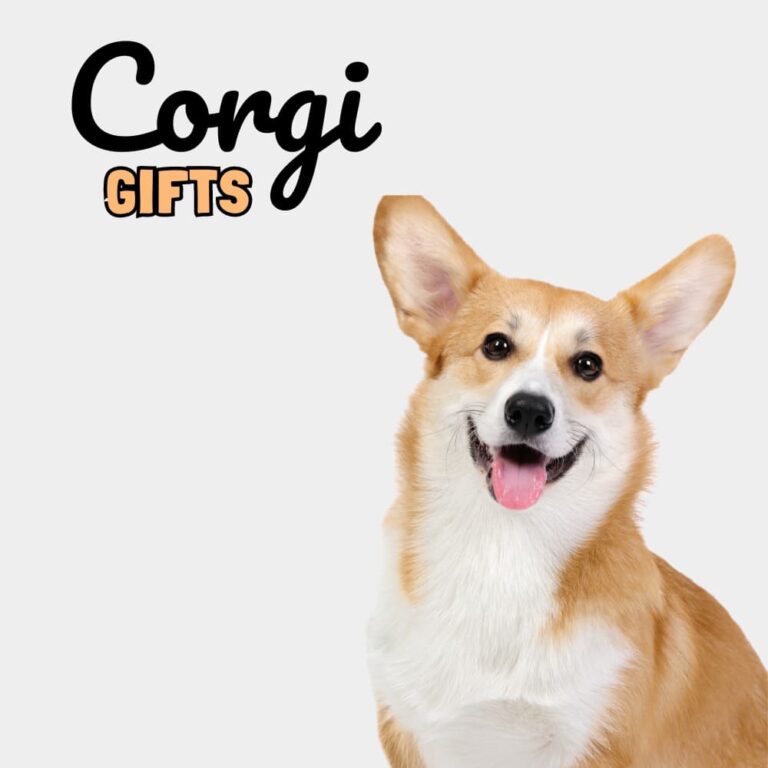 Corgi Gifts - Dog Gifts Store