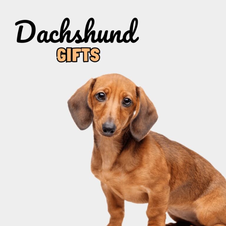 Dachshund Gifts - Dog Gifts Store