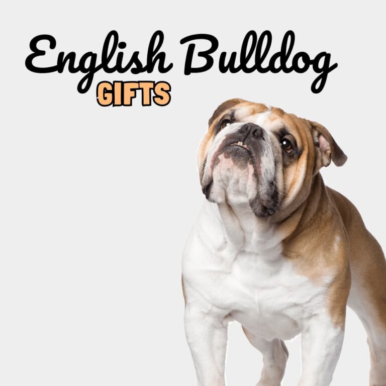 English Bulldog Gifts - Dog Gifts Store