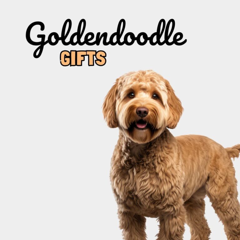 Goldendoodle Gifts - Dog Gifts Store