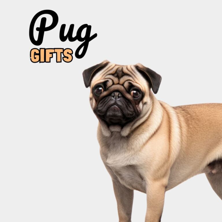 Pug Gifts - Dog Gifts Store