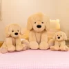 2024 New Size 40cm Cute Golden Retriever Dog Plush Toys Stuffed Dolls Soft Simulation Fluffy Dogs 1 - Dog Gifts Store