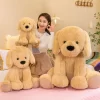 2024 New Size 40cm Cute Golden Retriever Dog Plush Toys Stuffed Dolls Soft Simulation Fluffy Dogs - Dog Gifts Store