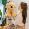 2024 New Size 40cm Cute Golden Retriever Dog Plush Toys Stuffed Dolls Soft Simulation Fluffy Dogs 5 - Dog Gifts Store