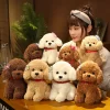 22cm Creative Realistic Teddy Dog Lucky Simulation Dog Poodle Plush Toys Handmade Realistic Figure Toy Plush - Dog Gifts Store