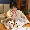 30 40 50CM Cute Husky Dog Plush Toy Stuffed Animal Soft Kawaii Lying Brown Pet Puppy 4 - Dog Gifts Store