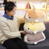 30 45 60cm Cute Corgi Dog Plush Toy Stuffed Soft Animal Cartoon Pillow Lovely Christmas Gift 2 - Dog Gifts Store