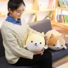 30 45 60cm Cute Corgi Dog Plush Toy Stuffed Soft Animal Cartoon Pillow Lovely Christmas Gift 4 - Dog Gifts Store