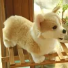 3D Simulation Dog Plush Toy Kids Dolls Corgi Stuffed Pet Soft Animal Toys For Children Girls 1 - Dog Gifts Store