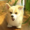 3D Simulation Dog Plush Toy Kids Dolls Corgi Stuffed Pet Soft Animal Toys For Children Girls - Dog Gifts Store