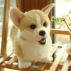 3D Simulation Dog Plush Toy Kids Dolls Corgi Stuffed Pet Soft Animal Toys For Children Girls 2 - Dog Gifts Store