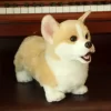 3D Simulation Dog Plush Toy Kids Dolls Corgi Stuffed Pet Soft Animal Toys For Children Girls 5 - Dog Gifts Store