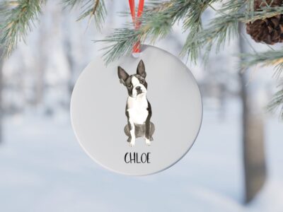 90+ Special Boston Terrier Gifts To Brighten Your Day