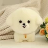 bichon-frise-dog