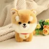 shiba-inu-dog