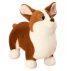 corgi