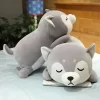 Big Size Lying Husky Pillow Kawaii Anime Pillow Corgi Shiba Inu Dog Plush Toys Stuffed Animal 2 - Dog Gifts Store