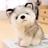 Cute Husky Dog Plush Toy Soft Stuffed Doll Kawaii Children Toys Birthday Gift for Girl Fluffy 1 - Dog Gifts Store