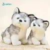 Cute Husky Dog Plush Toy Soft Stuffed Doll Kawaii Children Toys Birthday Gift for Girl Fluffy 5 - Dog Gifts Store