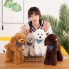 Cute Poodle Teddy Dog Simulation Stuffed Animal Plush Toy Girls Birthday Gift Home Decoration 3 - Dog Gifts Store