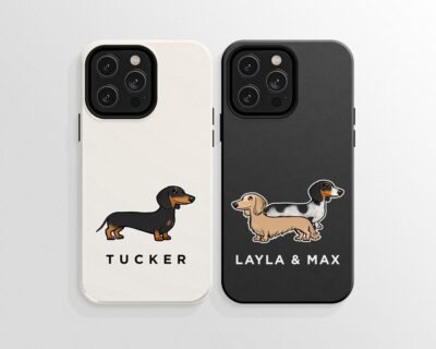 Find Best Dachshund Lover Accessories in Our 30+ Collection