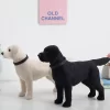 Mini Labrador Simulation Dog Model Toy Puppy Doll Figure Home Decoration Coffee Table Indoor Floor Animal - Dog Gifts Store