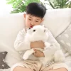 New Quality Simulation Pomeranian Doll Cute Soft Realistic Animal White Dog Ragdoll Plush Toy Children s 2 - Dog Gifts Store