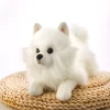 New Quality Simulation Pomeranian Doll Cute Soft Realistic Animal White Dog Ragdoll Plush Toy Children s 3 - Dog Gifts Store