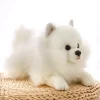 New Quality Simulation Pomeranian Doll Cute Soft Realistic Animal White Dog Ragdoll Plush Toy Children s 4 - Dog Gifts Store