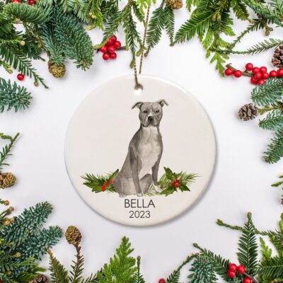 Personalized Blue Gray Pitbull Ornament