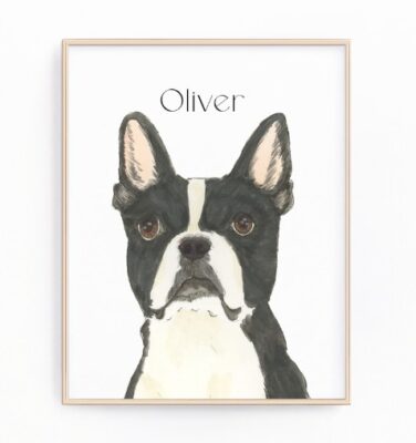 Personalized Boston Terrier Wall Art