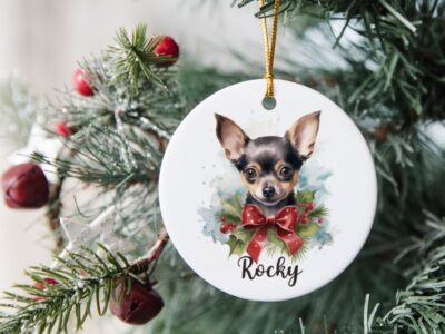 Shop 30+ Extraordinary Christmas Gifts for Chihuahua