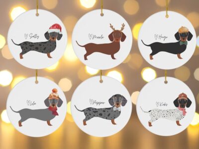 Transform Your Home with 30+ Dachshund Decoration Items