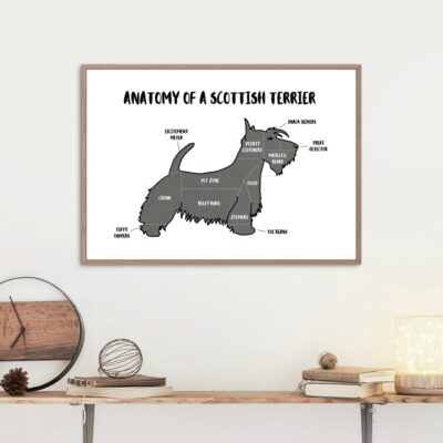 30+ Best Scottie Decoration Items For Scottie Lovers