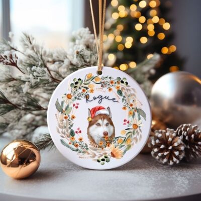 30+ Christmas Gifts for Husky Lovers