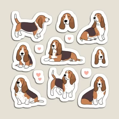 Basset Hound Cute Magnetic Sticker