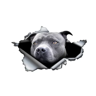 Blue Pitbull Car Sticker