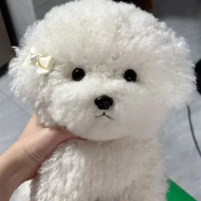 Cute Bichon Curly Dog Plush Toys