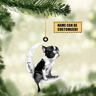 Personalized Boston Terrier Sit On the Moon Ornament