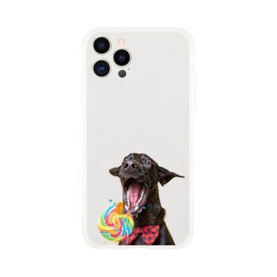 Personalized Labrador Retriever Lollipop Funny Phone Case