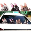 kf Hfaa8cab79460431eb88963258021c807O French Bulldog Car Sticker Pet Dog Vinyl Decal Animal Cartoon Auto Stickers Waterproof Bumper Accessories Decoration - Dog Gifts Store