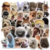 kf S6875ff1c4515469797c80fc9267ba937Y 10 30 50PCS Dog Life Korean Sticker Aesthetic PVC Diary Laptop Sketchbook Children s Stationery Scrapbooking - Dog Gifts Store