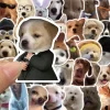 kf Sc01b6a3736024354ac16284020e304cfL 10 30 50PCS Dog Life Korean Sticker Aesthetic PVC Diary Laptop Sketchbook Children s Stationery Scrapbooking - Dog Gifts Store